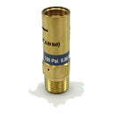 Generant RVA ASME Coded Relief Valve, 1/2" MNPT, 22 and 100 PSI