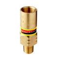 Generant Cryogenic Relief Valve, 1/4" MNPT, 10 to 350 PSI, -320 F