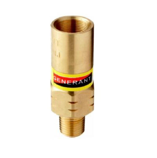 Generant Cryogenic Relief Valve 1/4" MNPT, Various Set Pressures - N.B.Oler